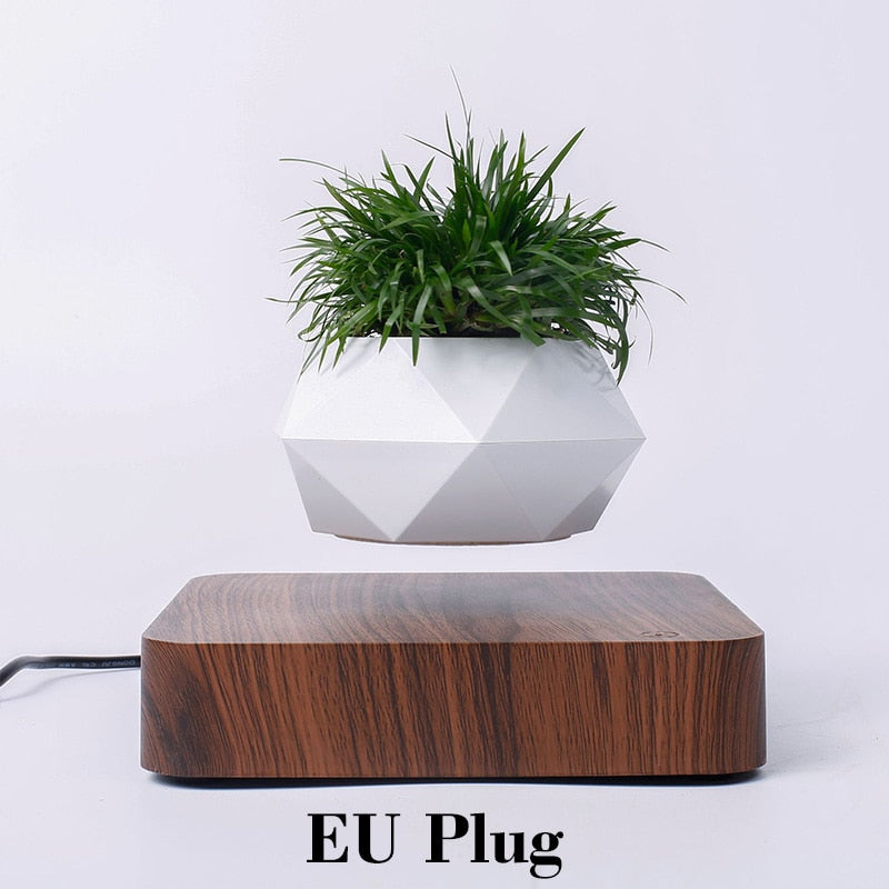 Floating Air Bonsai with Magnetic Levitation