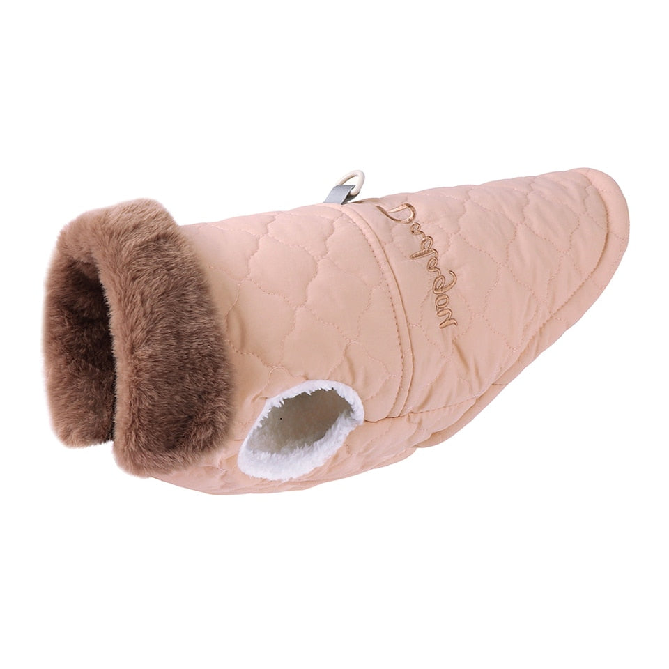Winter jacket for small dogs - waterproof - French Bulldog - Chihuahua
