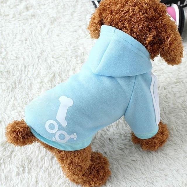 Winter Dog Adidas Jacket