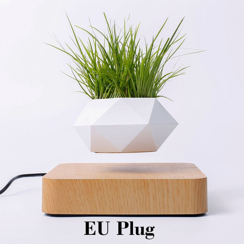 Floating Air Bonsai with Magnetic Levitation