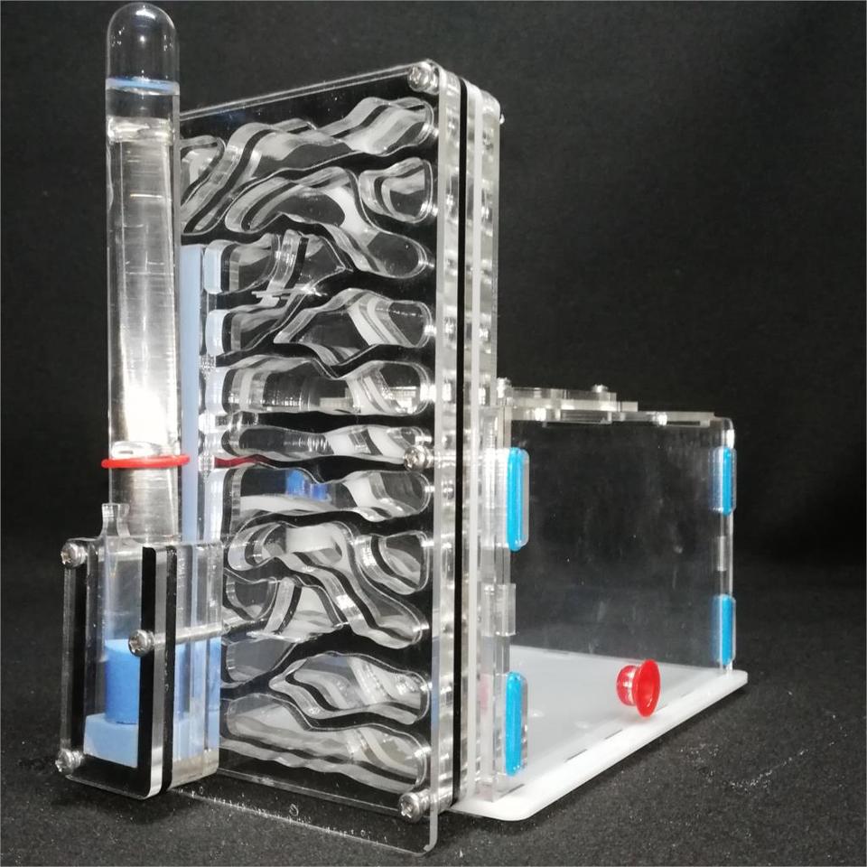 DIY ant nest ant farm nests