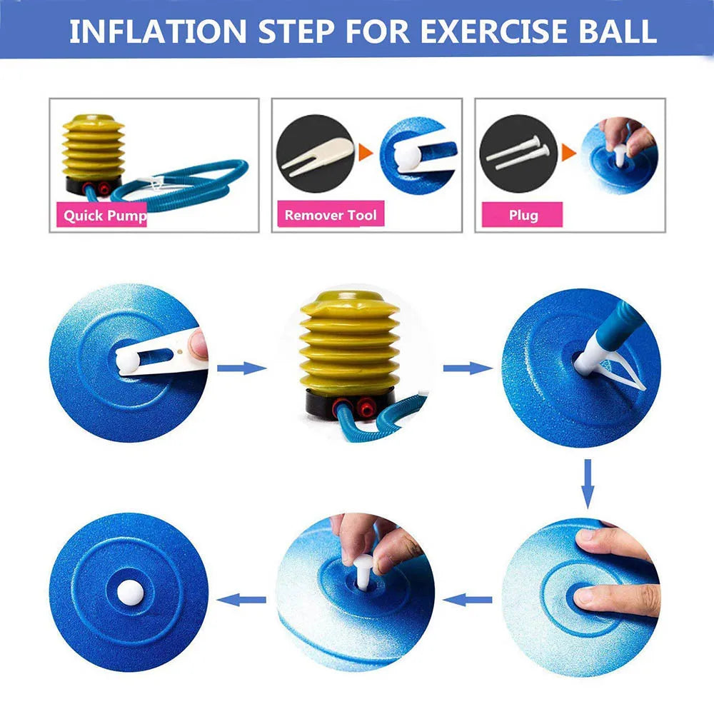 exercise ball including pump
