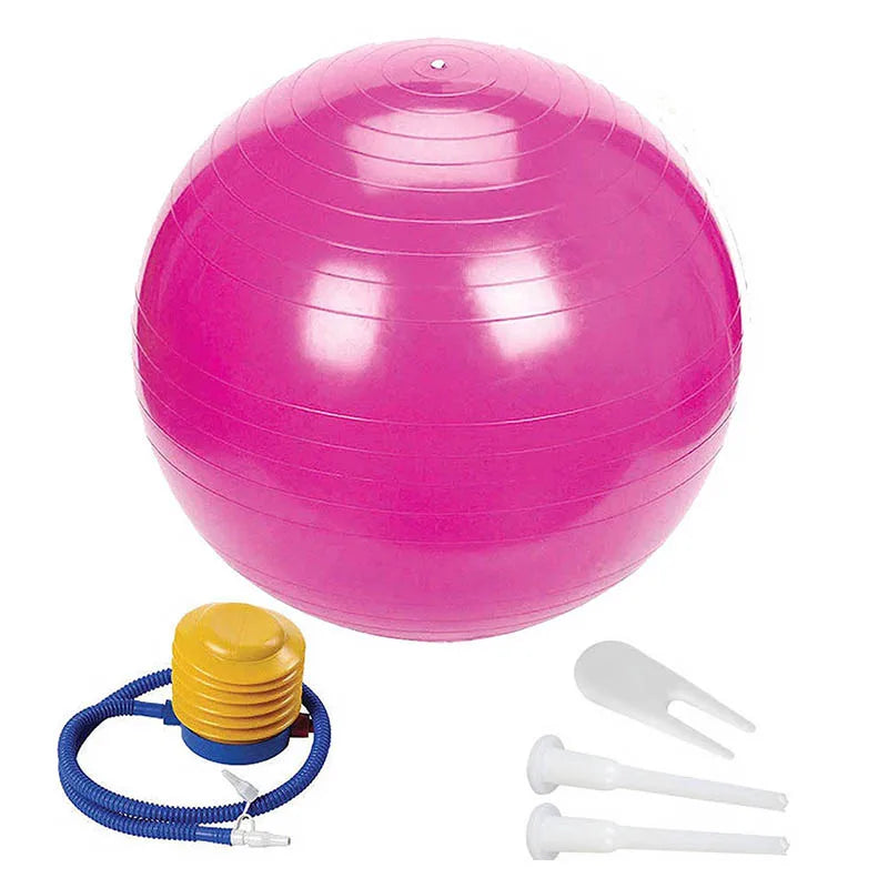 exercise ball including pump