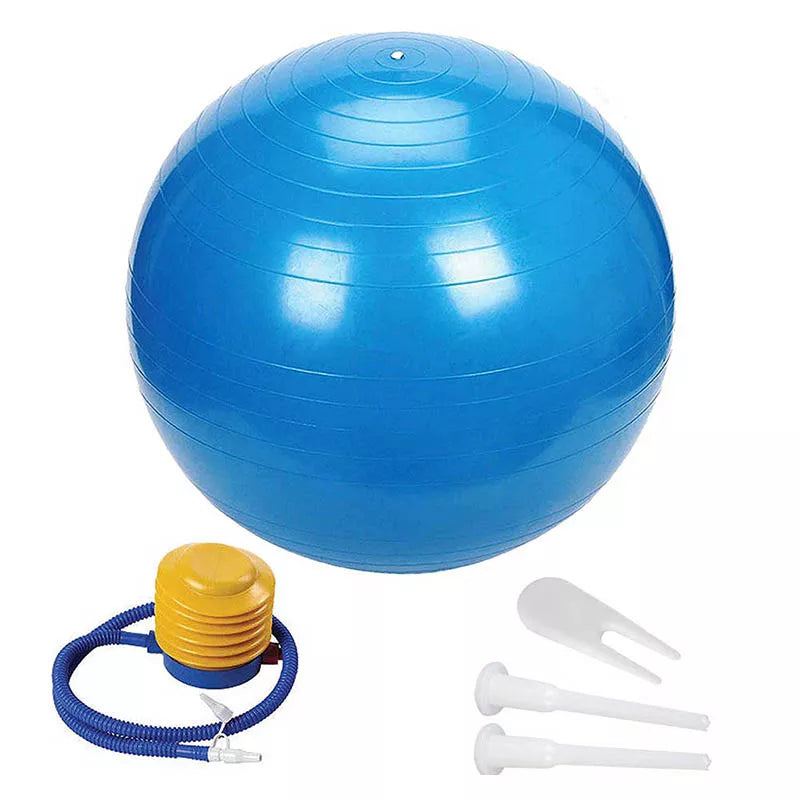 exercise ball including pump