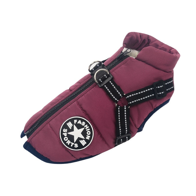 Pet Vest: Winter Clothes for Small Dogs