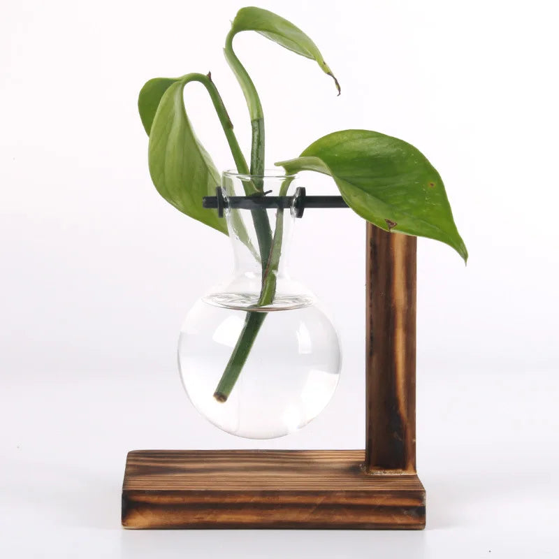 Hydroponic Plant Terrarium Vase Vase Decoration Home Glass Bottle