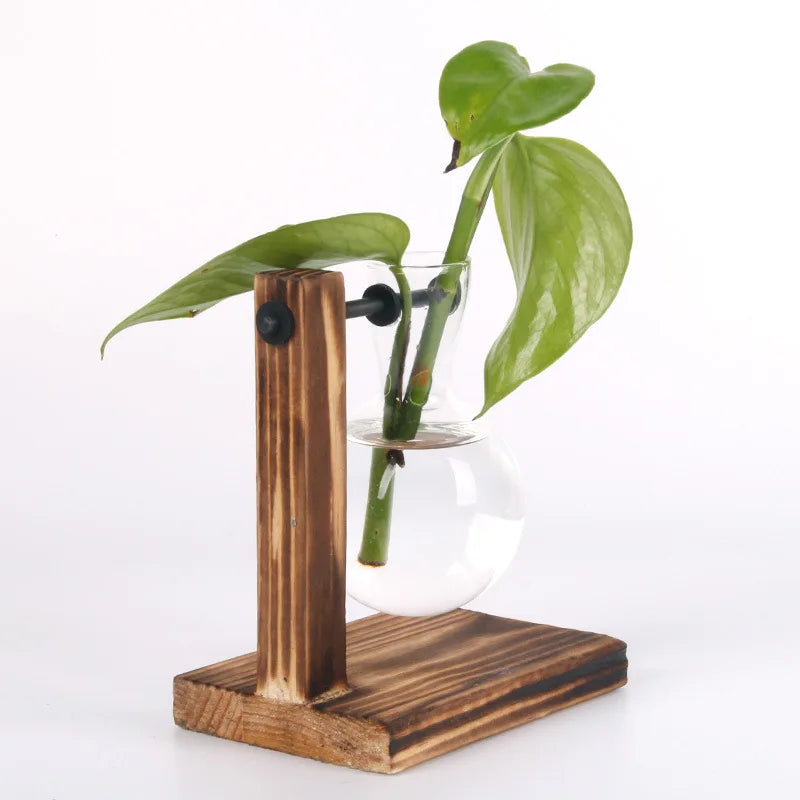 Hydroponic Plant Terrarium Vase Vase Decoration Home Glass Bottle
