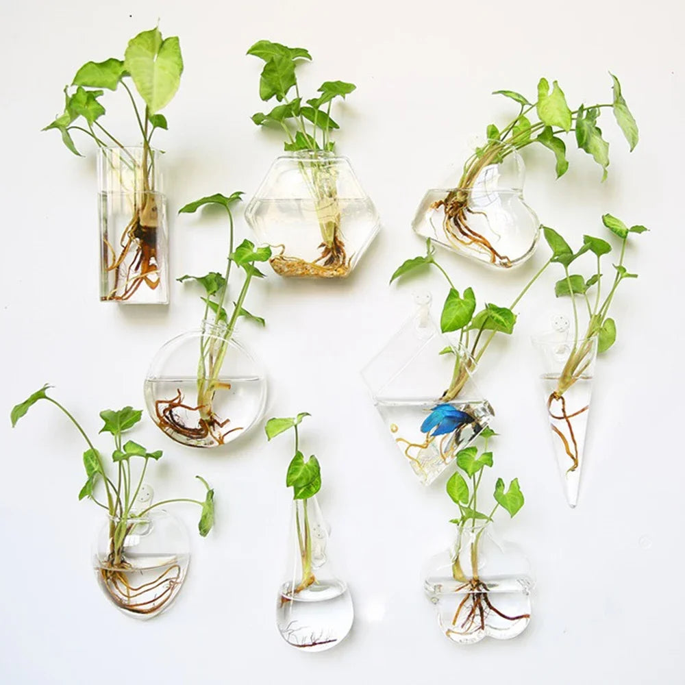Mode tenture murale en verre fleur Vase Terrarium mur Aquarium Aquarium
