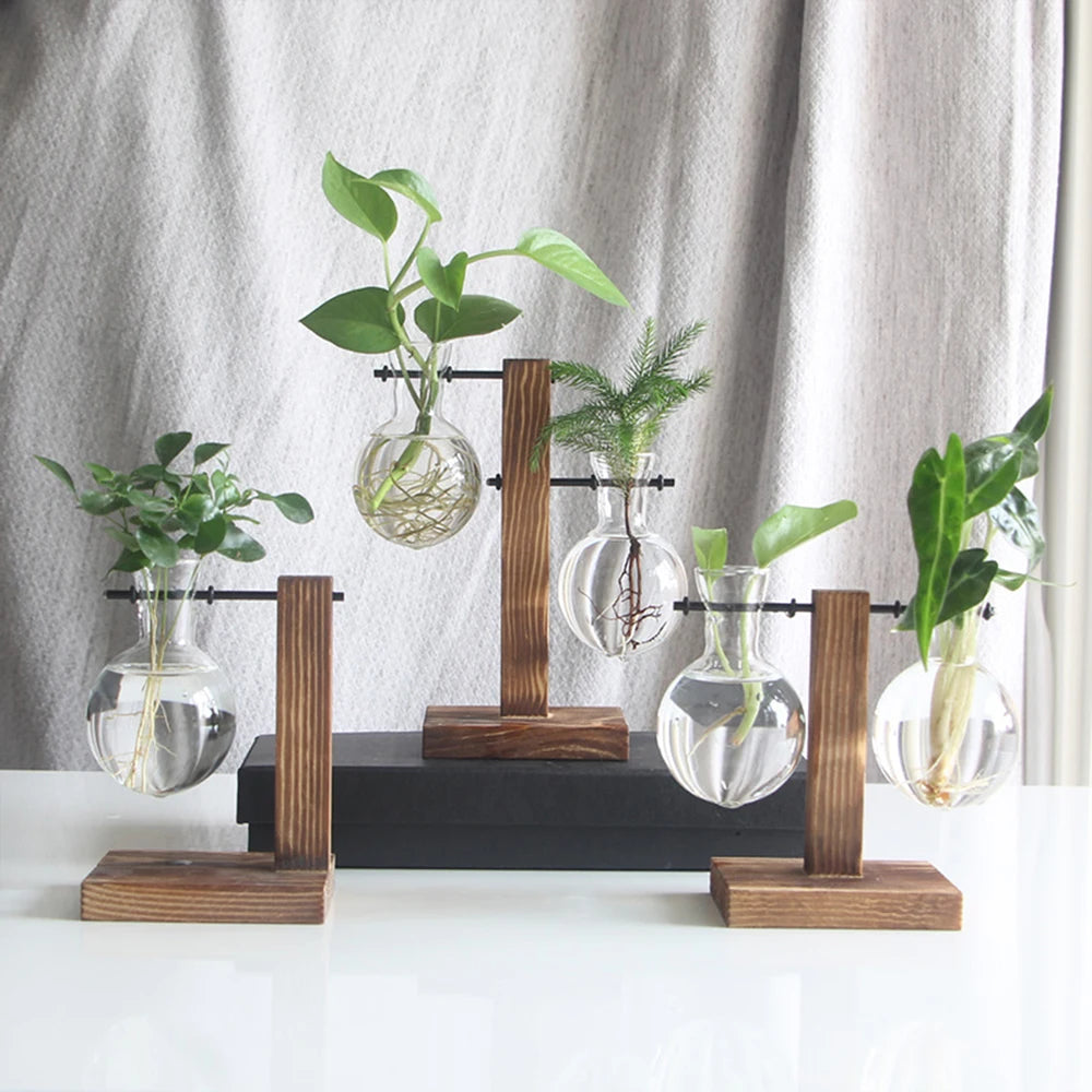 Vase à ampoules en verre créatif, support en bois pour jardinière de bureau