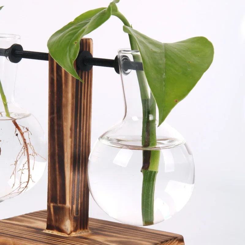 Hydroponic Plant Terrarium Vase Vase Decoration Home Glass Bottle