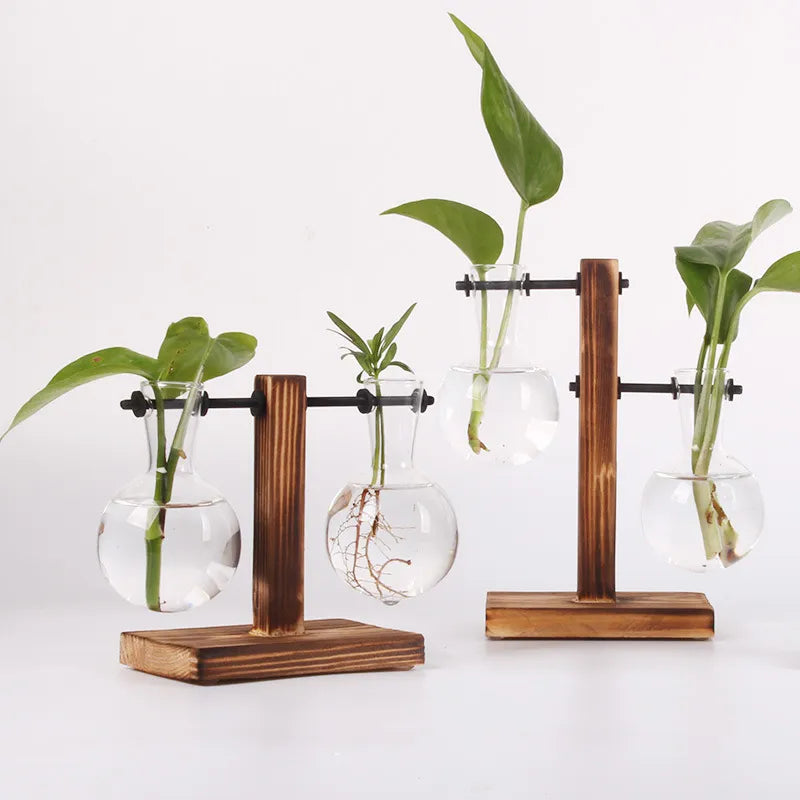 Hydroponic Plant Terrarium Vase Vase Decoration Home Glass Bottle