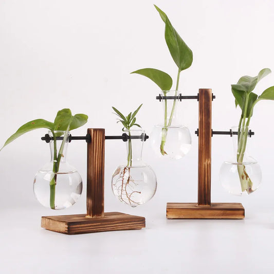 Hydroponic Plant Terrarium Vase Vase Decoration Home Glass Bottle