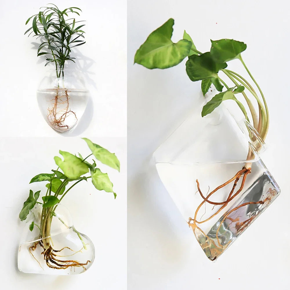 Mode tenture murale en verre fleur Vase Terrarium mur Aquarium Aquarium