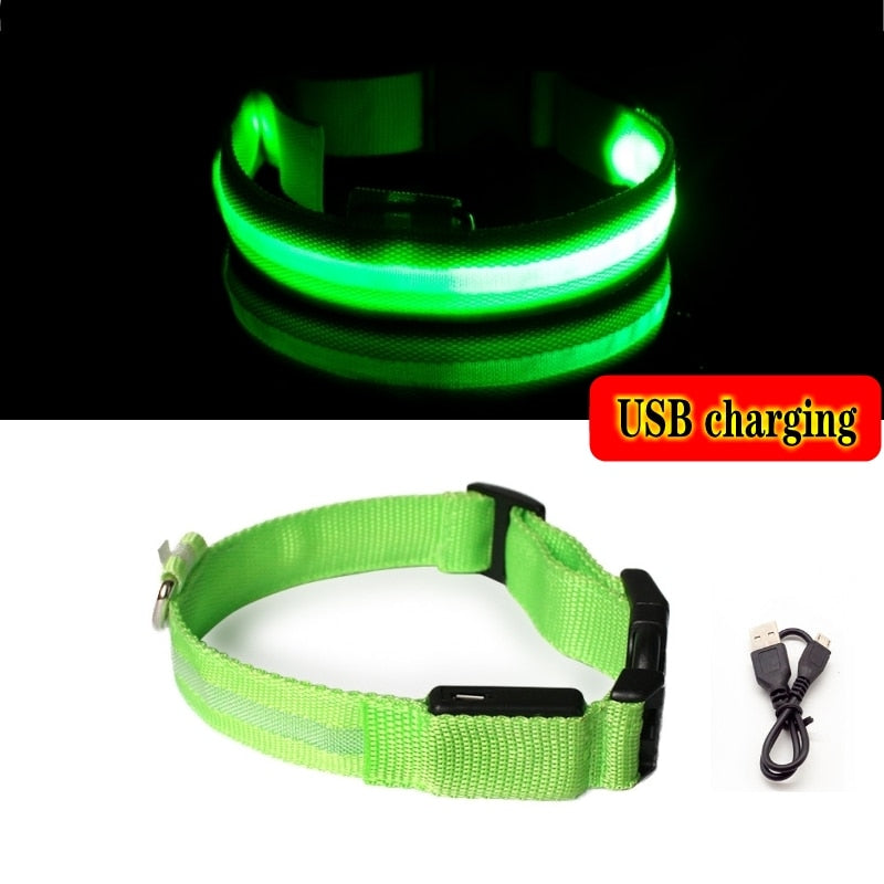 LED Dog Collar - Anti-lost Light for Dogs