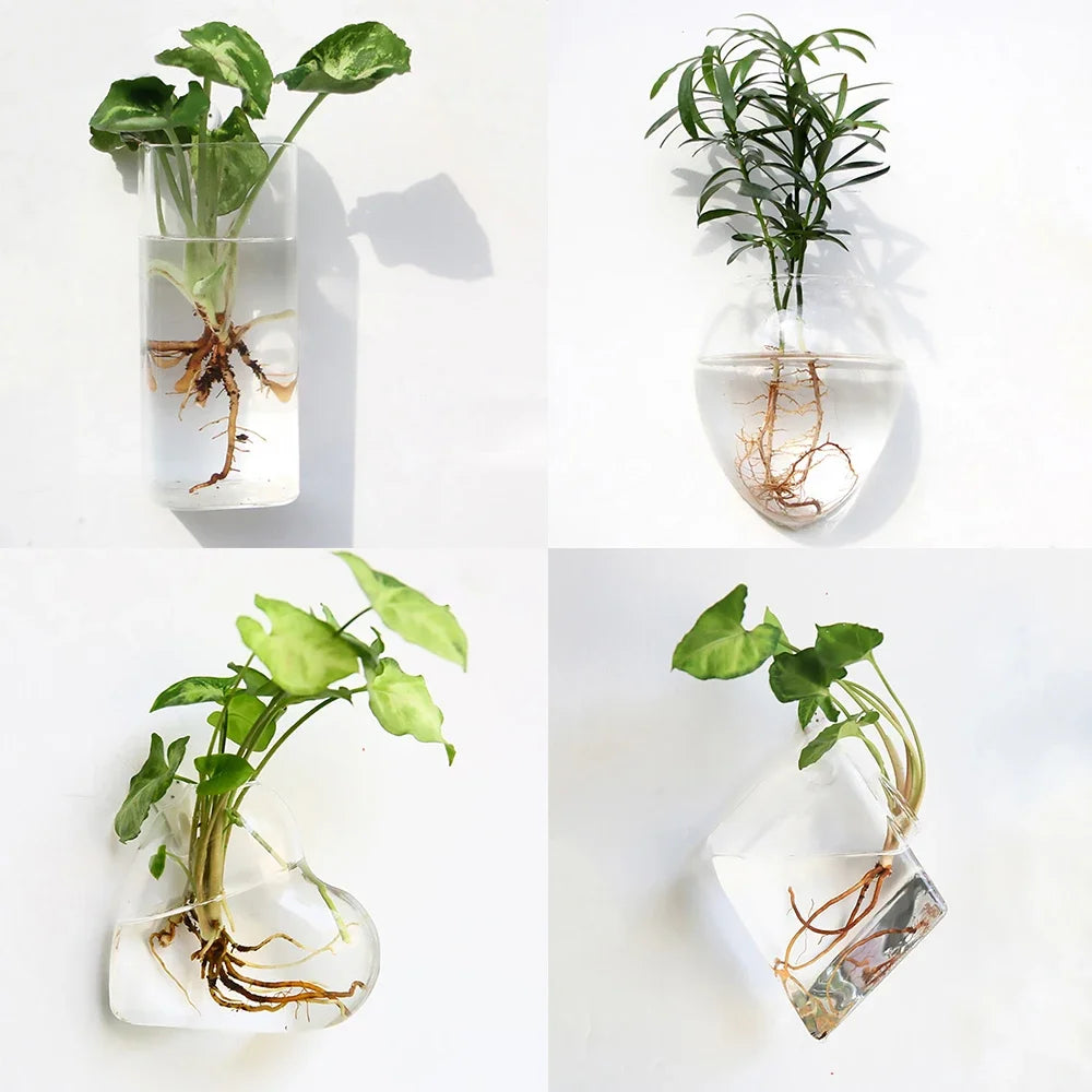 Mode tenture murale en verre fleur Vase Terrarium mur Aquarium Aquarium