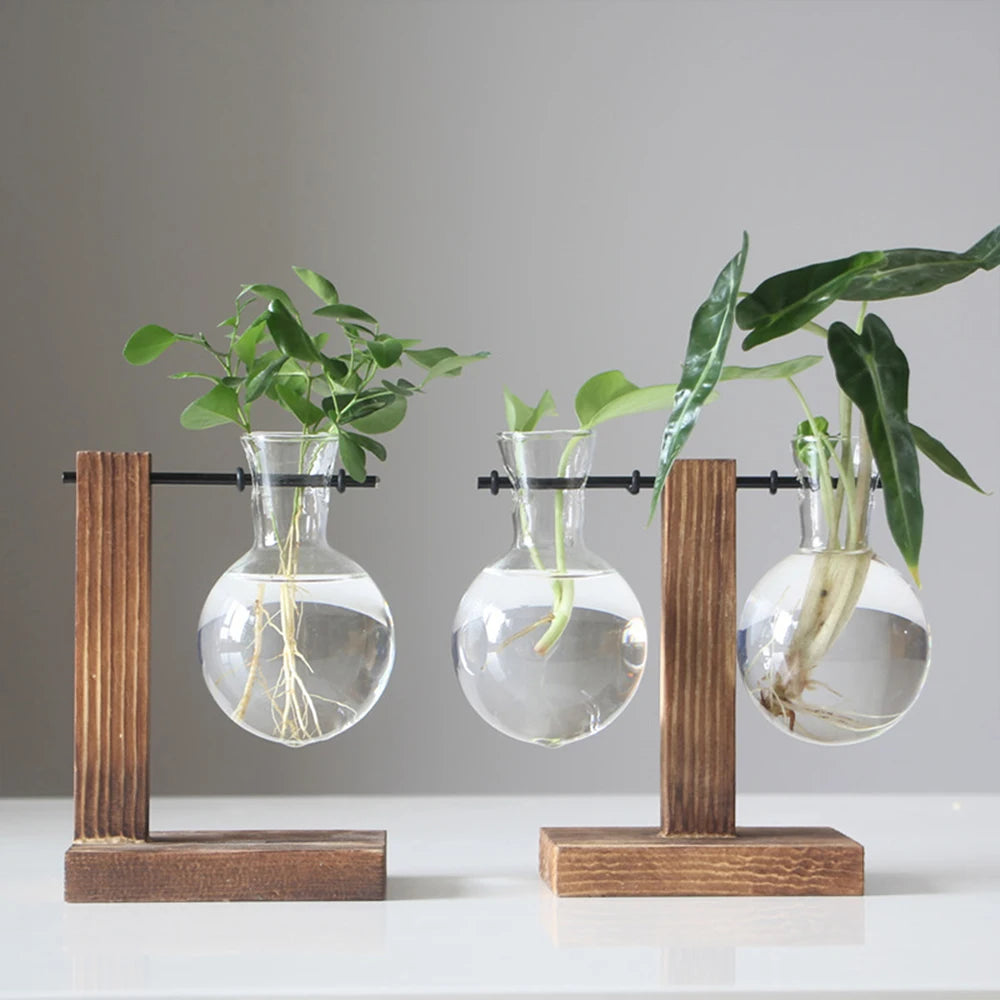Vase à ampoules en verre créatif, support en bois pour jardinière de bureau