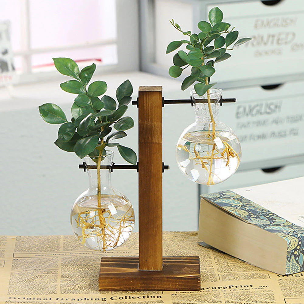 Vase à ampoules en verre créatif, support en bois pour jardinière de bureau