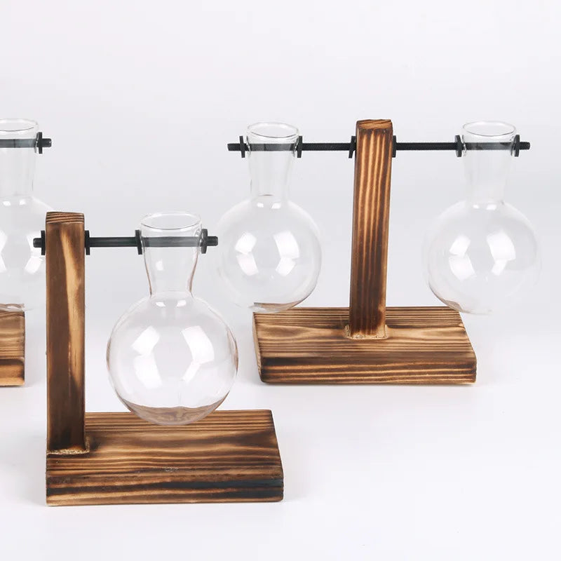 Hydroponic Plant Terrarium Vase Vase Decoration Home Glass Bottle