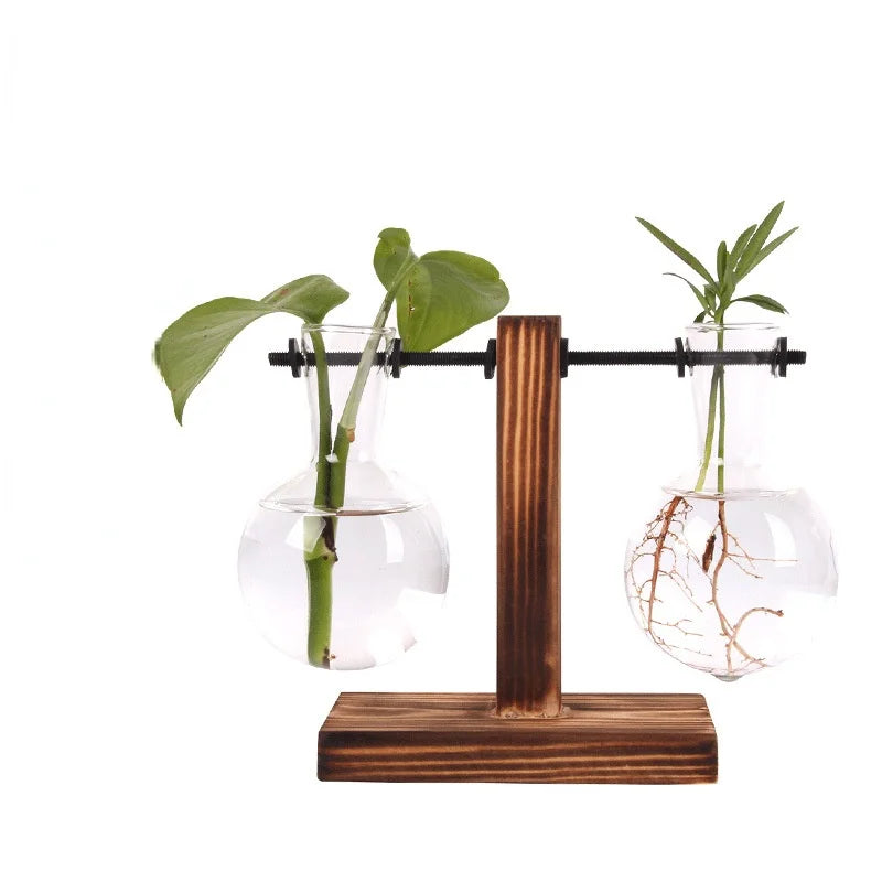 Hydroponic Plant Terrarium Vase Vase Decoration Home Glass Bottle