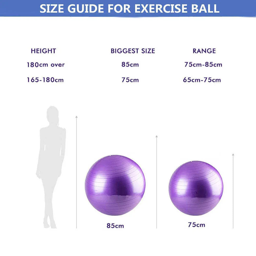 exercise ball including pump