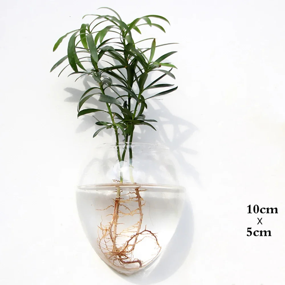 Mode tenture murale en verre fleur Vase Terrarium mur Aquarium Aquarium