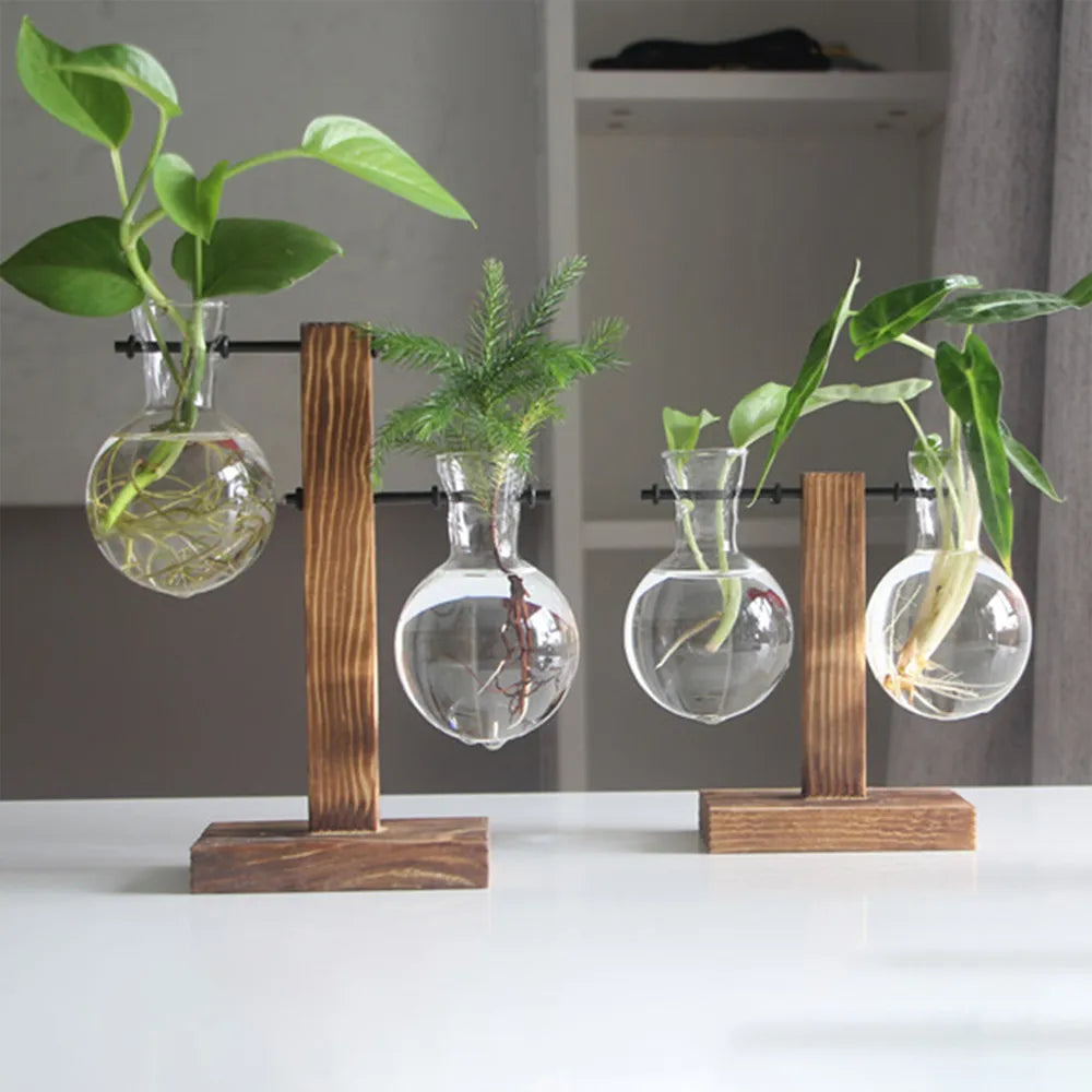 Vase à ampoules en verre créatif, support en bois pour jardinière de bureau